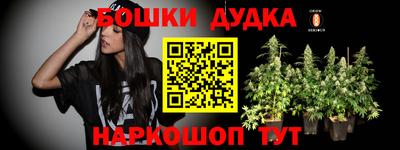 прущие грибы Моздок